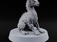 Just Hatched, Already Hunting Dragon Wyrmling A turntable