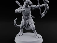 Crests Up, Tails Out Dragonborn Archer A turntable