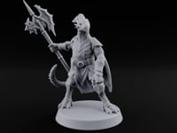 Nobody Passes Unchallenged Dragonborn Sentinel B turntable
