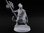 Nobody Passes Unchallenged Dragonborn Sentinel B turntable