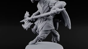Nobody Passes Unchallenged Dragonborn Sentinel E turntable