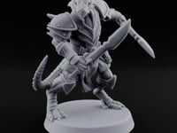 Dojo Under Dragon Skies Dragonborn Swordmaster A turntable