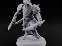 Dojo Under Dragon Skies Dragonborn Swordmaster D turntable