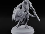 Scales Rattle, Shields Rise Dragonborn Swordsman D turntable