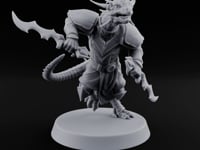 Quick Scales Dragonborn Assassin turntable