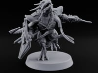 Wall of Shield Dragonborn Champion turntable