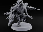 Wall of Shield Dragonborn Champion turntable