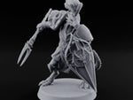 Shield Cocked, Fork Trailing Dragonborn Warden Leader turntable