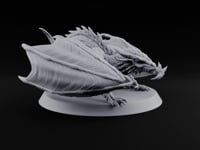 Fledgling Ambition, Full-Grown Attitude Young Dragon turntable