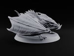 Fledgling Ambition, Full-Grown Attitude Young Dragon turntable