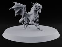 Teenage Dragon, Adult Opinions Young Dragon turntable