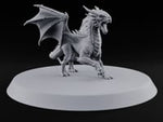 Teenage Dragon, Adult Opinions Young Dragon turntable