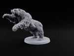 Shaggy and Seriously Cross Brown Bear C turntable
