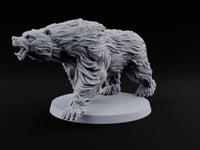 Shaggy and Seriously Cross Brown Bear B turntable