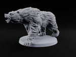 Shaggy and Seriously Cross Brown Bear B turntable