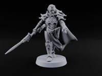 Armour Still Smouldering, Grudge Intact Elf Paladin Warrior turntable