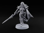 Armour Still Smouldering, Grudge Intact Elf Paladin Warrior turntable