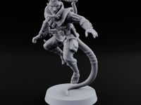 Two Tails, One Braid Tiefling Rogue turntable