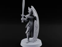 Wings on Every Brow Elf Regal Guard A turntable