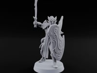 Wings on Every Brow Elf Regal Guard C turntable