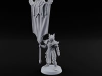Wings on Every Brow Elf Regal Guard D turntable