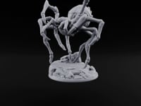 Spider Wasn't Consulted Goblin Chief and Giant Spider A turntable