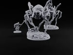 Spider Wasn't Consulted Goblin Chief and Giant Spider turntable