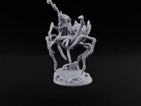 Spider Wasn't Consulted Goblin Chief and Giant Spider C turntable