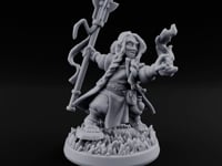 Small Feet, Big Callings Halfling Adventurer C turntable