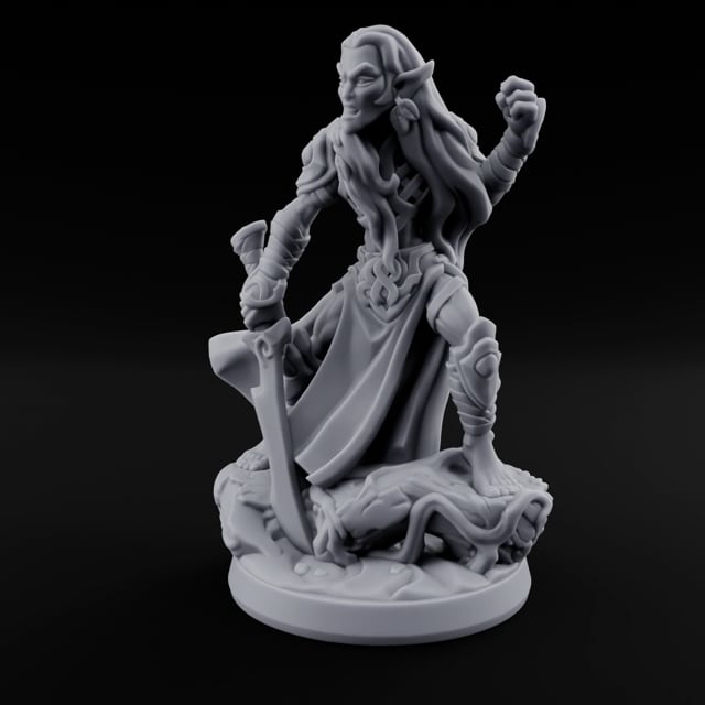 Sharp Ears, Sharper Tempers Wood Elf Warrior B turntable