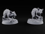 Fur Bristling Giant Rats turntable