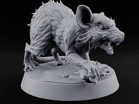 Fur Bristling Giant Rat A turntable