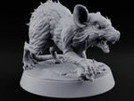 Fur Bristling Giant Rat A turntable