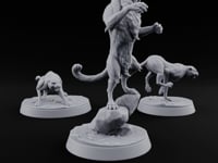 Stand, Stalk, Sprint Panther Beasts turntable