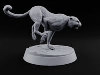 Stand, Stalk, Sprint Panther Beast C turntable