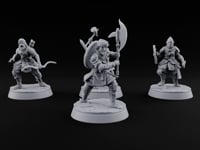 Mismatched Armoury, Matching Resolve Human Knights turntable