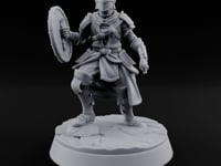 Mismatched Armoury, Matching Resolve Human Knight D turntable
