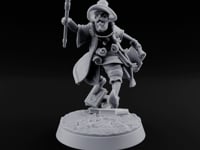 Late to Lecture, Tomes Underfoot Gnome Wizard turntable