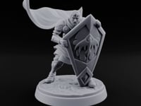 Braced Against the Gale Human Shield Knight turntable