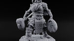 Winter's Tallest Tenants Frost Giant Warrior A turntable