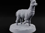 Fluff Above Its Station Alpaca Beast turntable