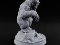 Thaw Is Over Polar Bear Beast B turntable