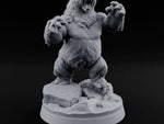 Thaw Is Over Polar Bear Beast C turntable