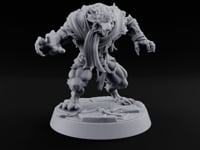 Scarves Torn, Fangs Bared Werewolf Monster C turntable