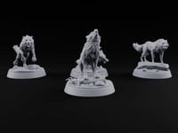 Moon Called, Pack Answered Wolf Beasts turntable