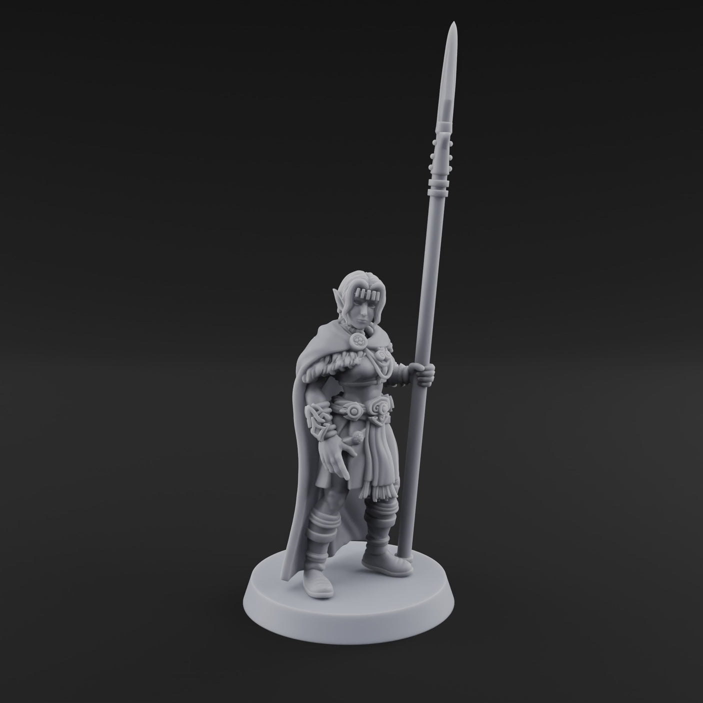 Spear Warden Elf Warriors I