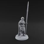 Spear Warden Elf Warriors I
