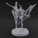 Wings Spread Menacing Phase Spider Matriarch