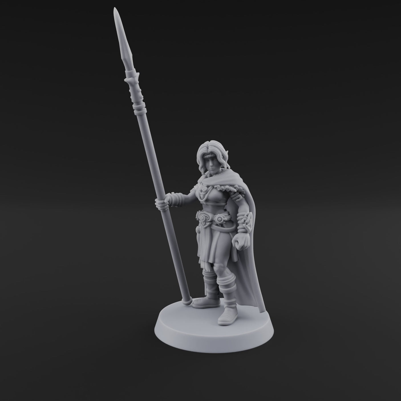Spear Warden Elf Warriors H