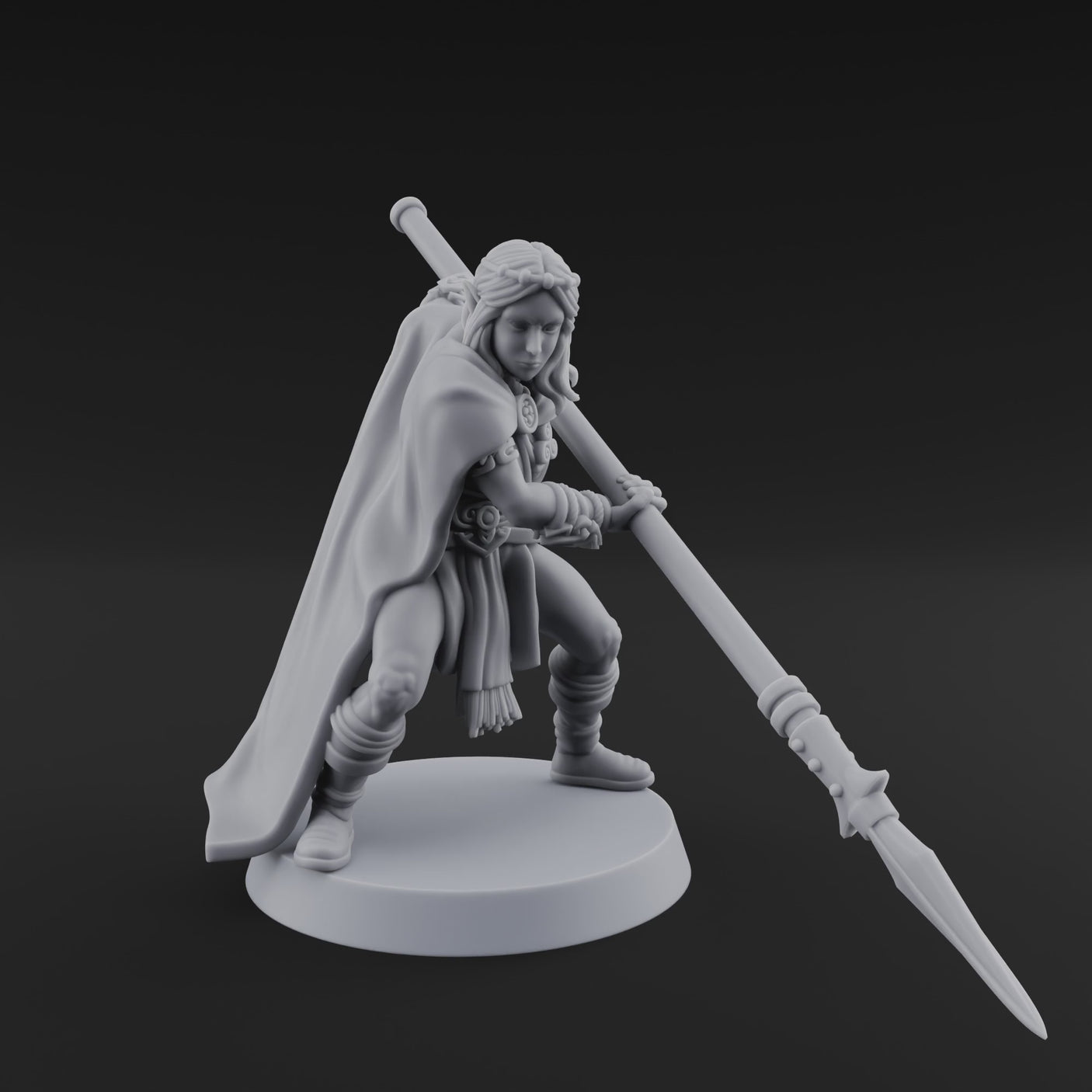 Spear Warden Elf Warriors G